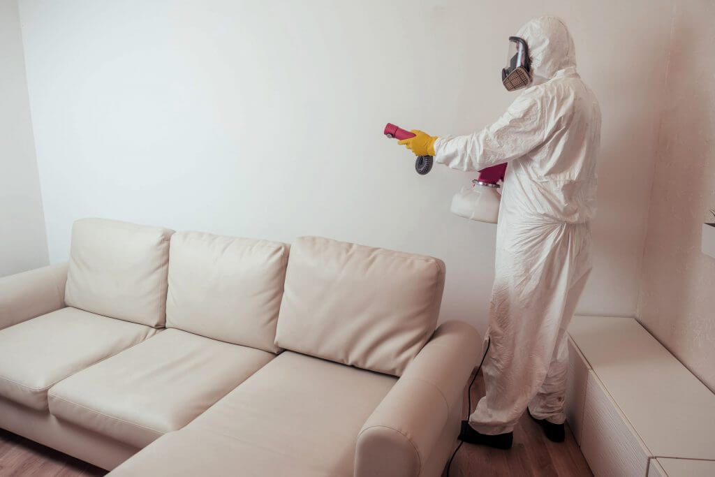 cleaner in hazmat suit fogging living room