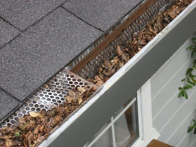 Gutters full of leaves with a gutter guard